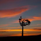 Sonnenuntergang in Afrika