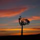 Sonnenuntergang in Afrika