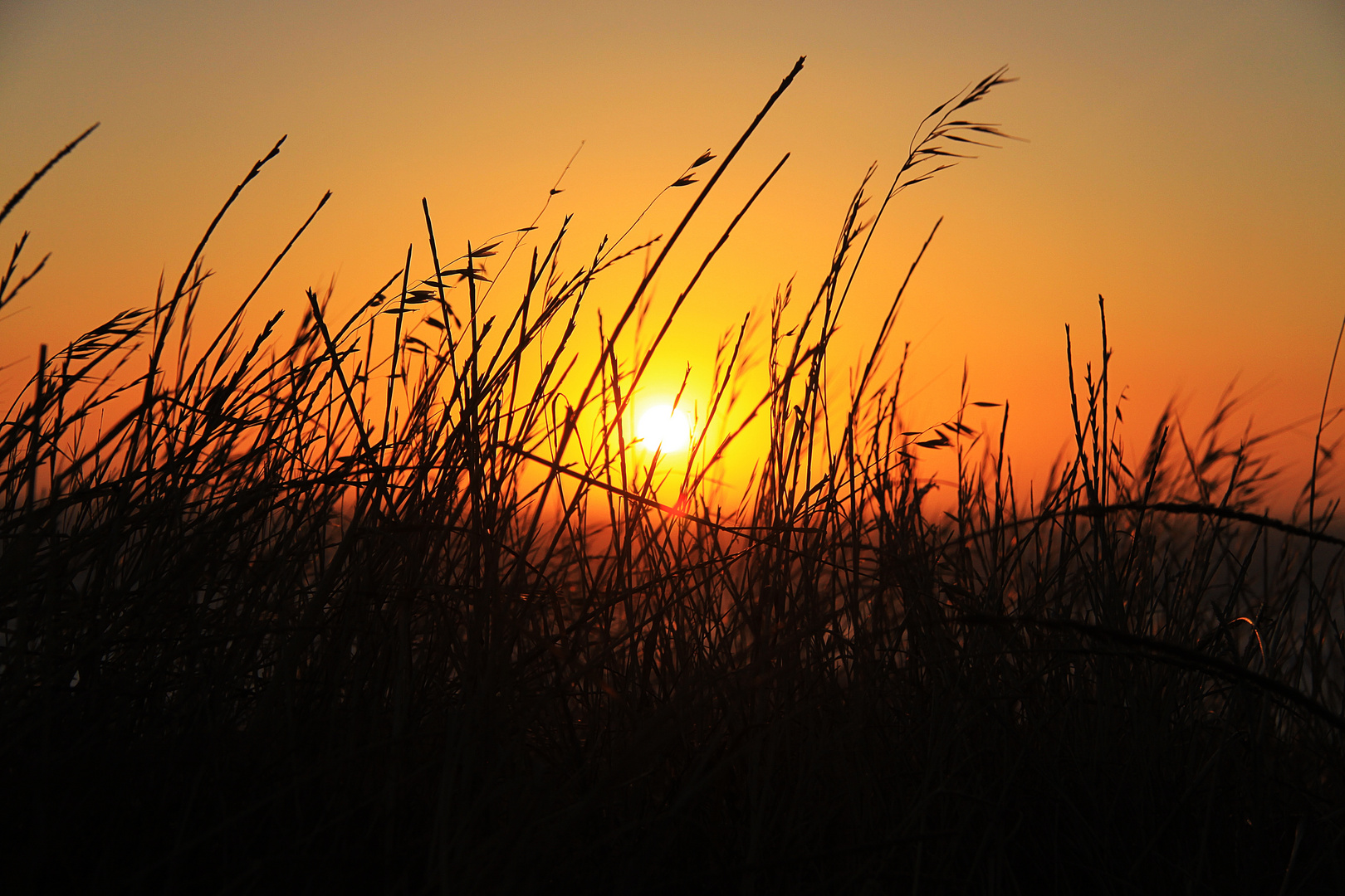 Sonnenuntergang in Afrika