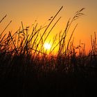 Sonnenuntergang in Afrika