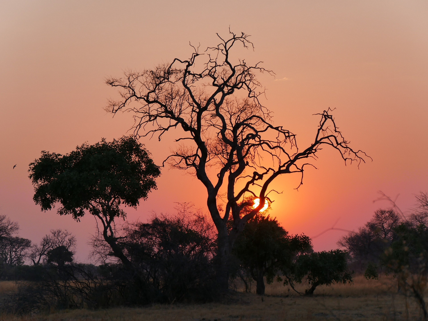 Sonnenuntergang in Afrika