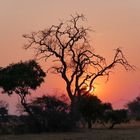 Sonnenuntergang in Afrika