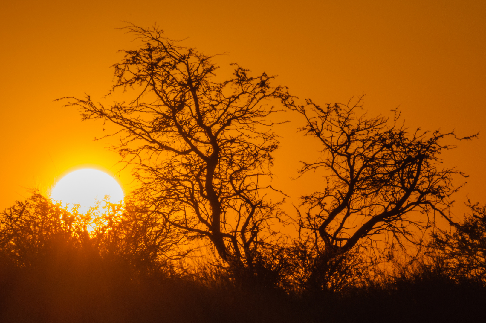 Sonnenuntergang in Afrika