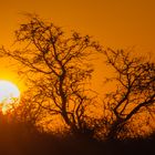 Sonnenuntergang in Afrika