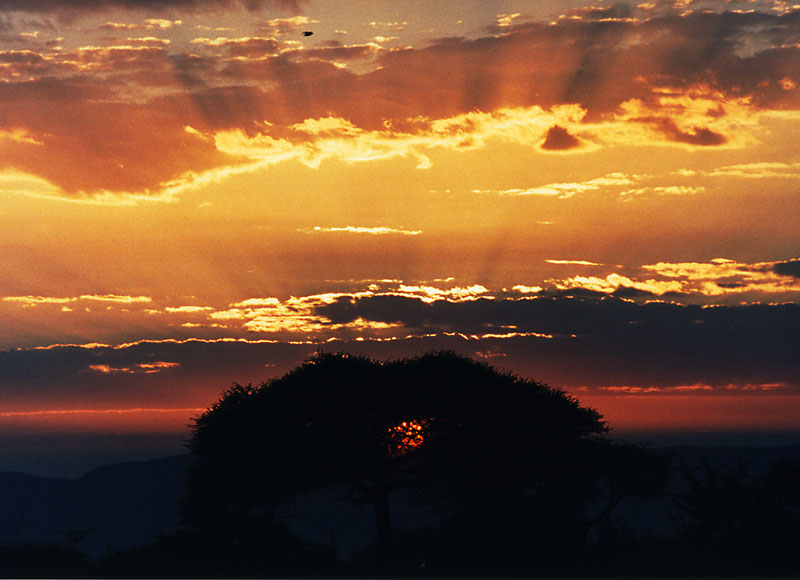 Sonnenuntergang in Afrika