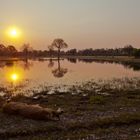 Sonnenuntergang in Afrika...