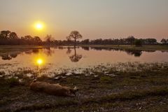 Sonnenuntergang in Afrika...