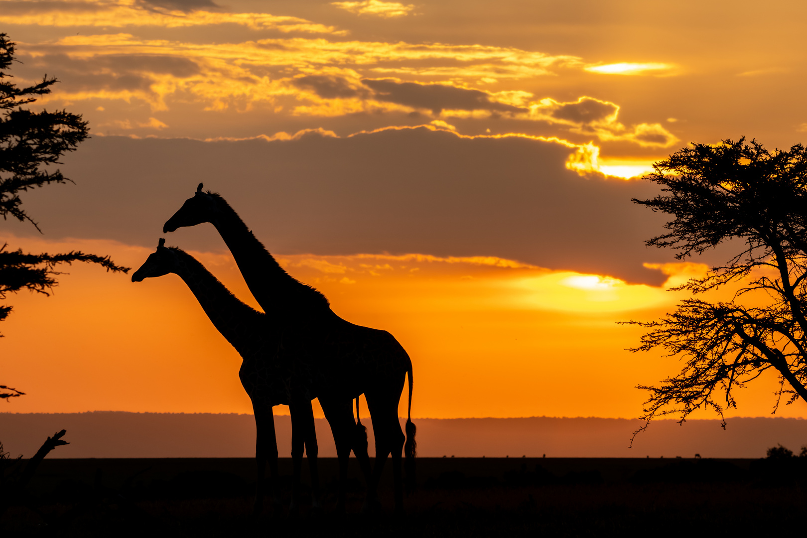 Sonnenuntergang in Afrika