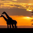 Sonnenuntergang in Afrika