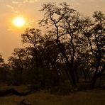 Sonnenuntergang in Afrika