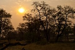 Sonnenuntergang in Afrika