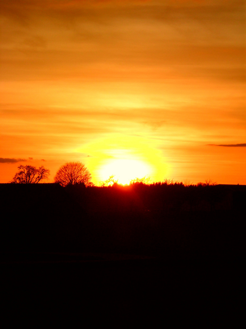 Sonnenuntergang in Alleshausen