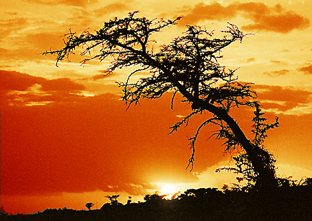 Sonnenuntergang in Ambo/Äthiopien