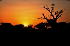 Sonnenuntergang in Amboseli