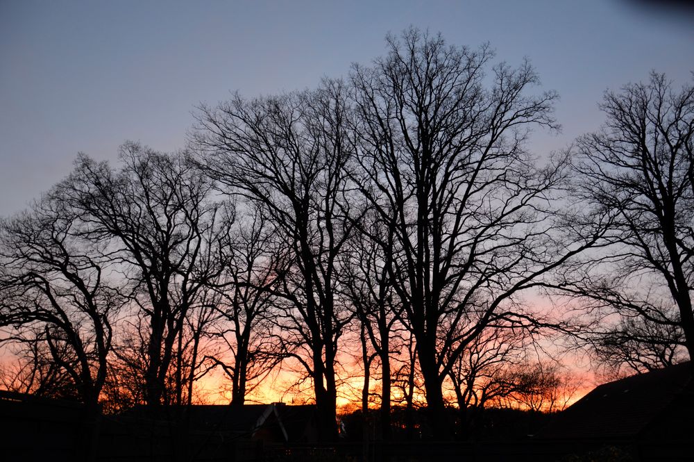 Sonnenuntergang in Asendorf