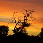 Sonnenuntergang in Australien