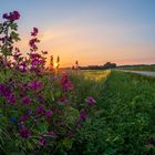 Sonnenuntergang in Aying/München