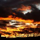 Sonnenuntergang in Babelsberg