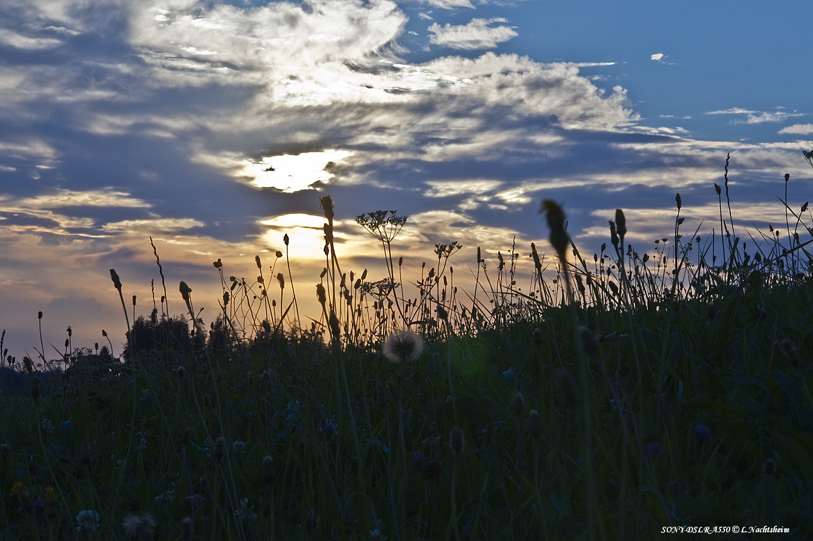 Sonnenuntergang in Bachtels