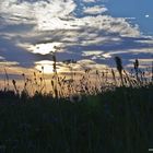 Sonnenuntergang in Bachtels