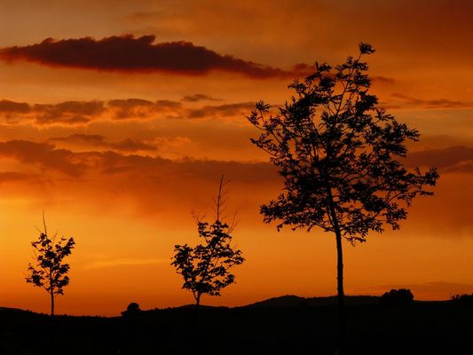 Sonnenuntergang in Bayern