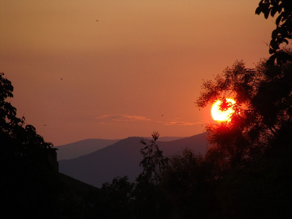 Sonnenuntergang in Belogradchik