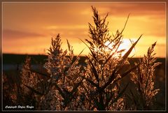 Sonnenuntergang in Bensersiel 2