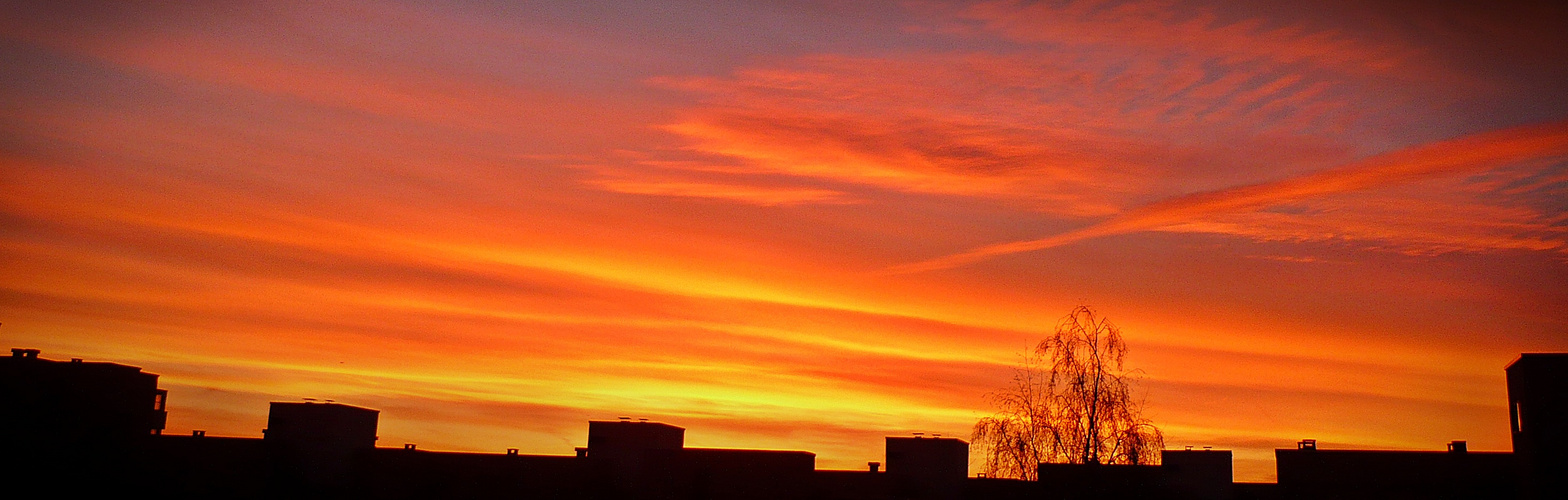 Sonnenuntergang in Berlin