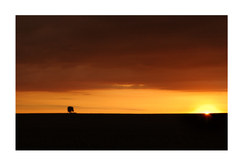 - Sonnenuntergang in Berlin -