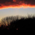 Sonnenuntergang in Berlin am 17.1.17 innehalb von 10 Minuten vom Balkon