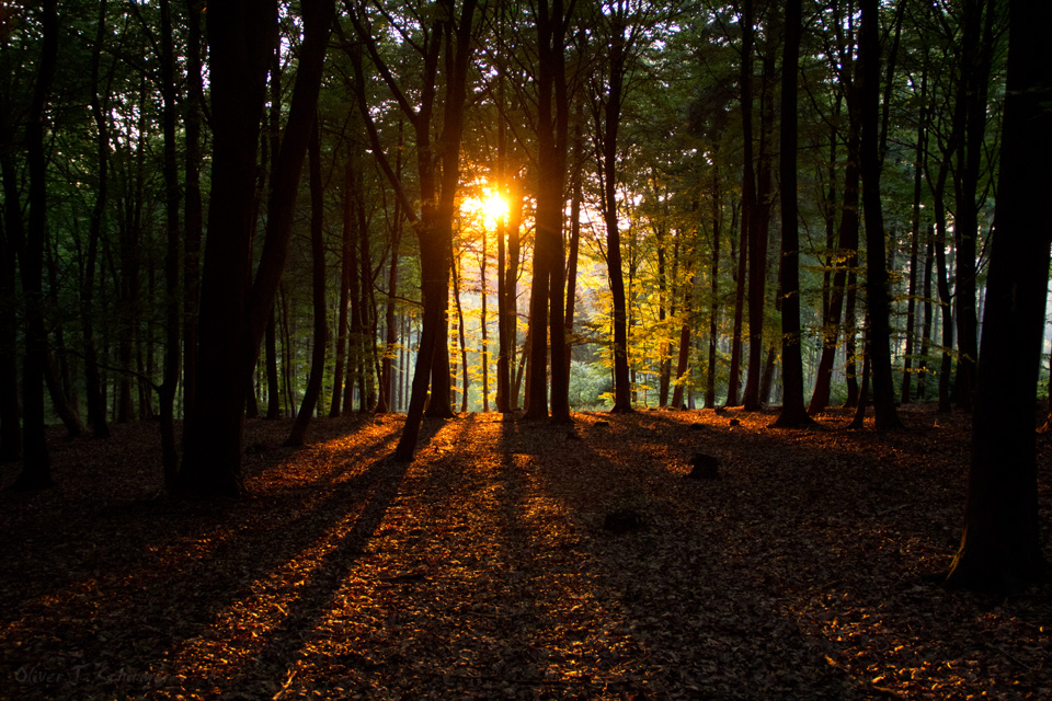 Sonnenuntergang in Beyenburg