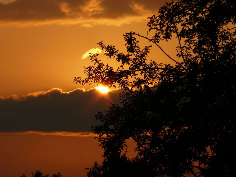 Sonnenuntergang in Bibersfeld