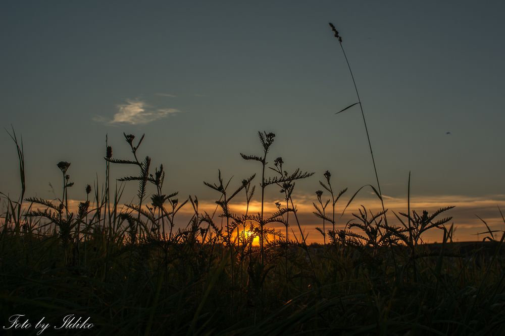 sonnenuntergang in Bietigheim