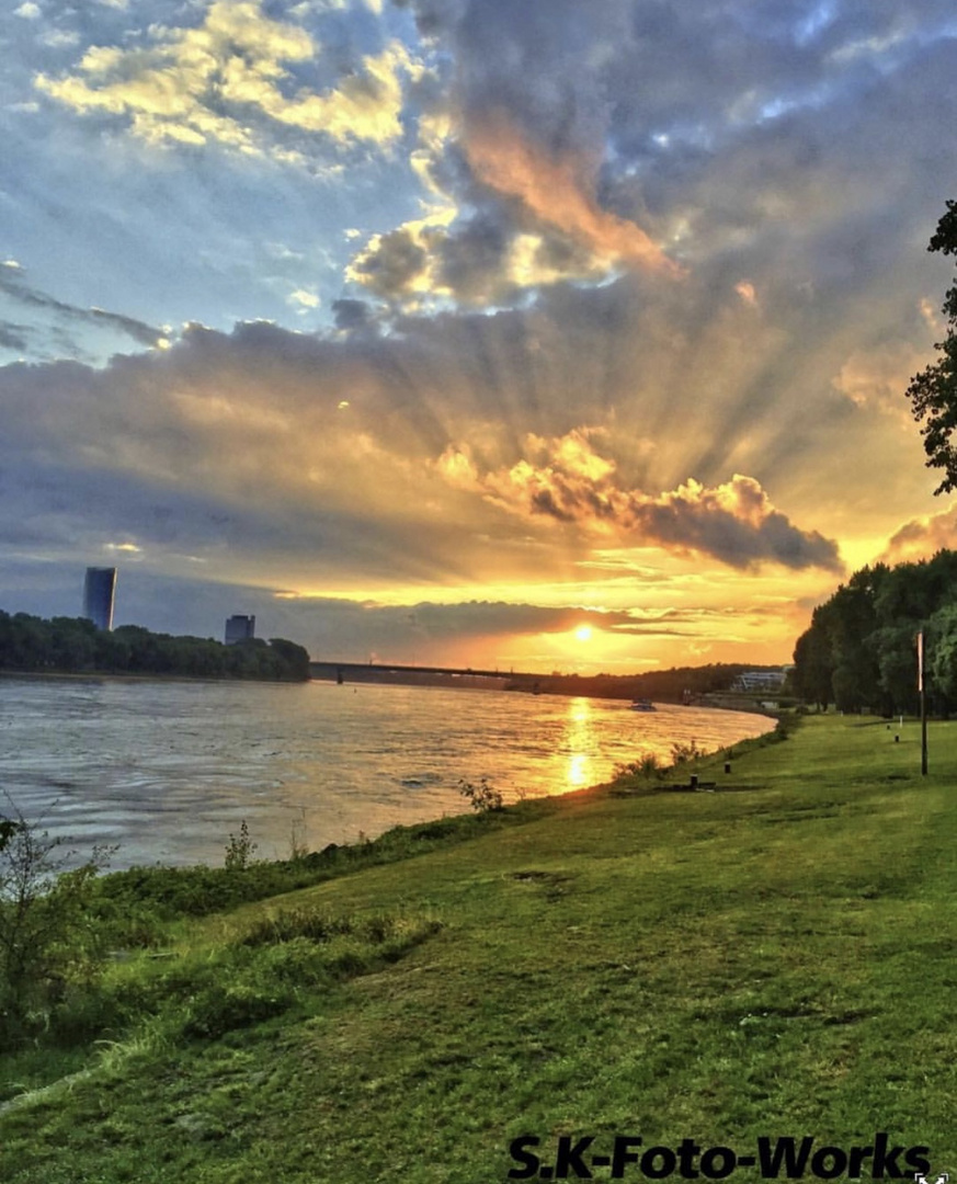 sonnenuntergang in Bonn am Rhein 