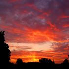 Sonnenuntergang in Bonn