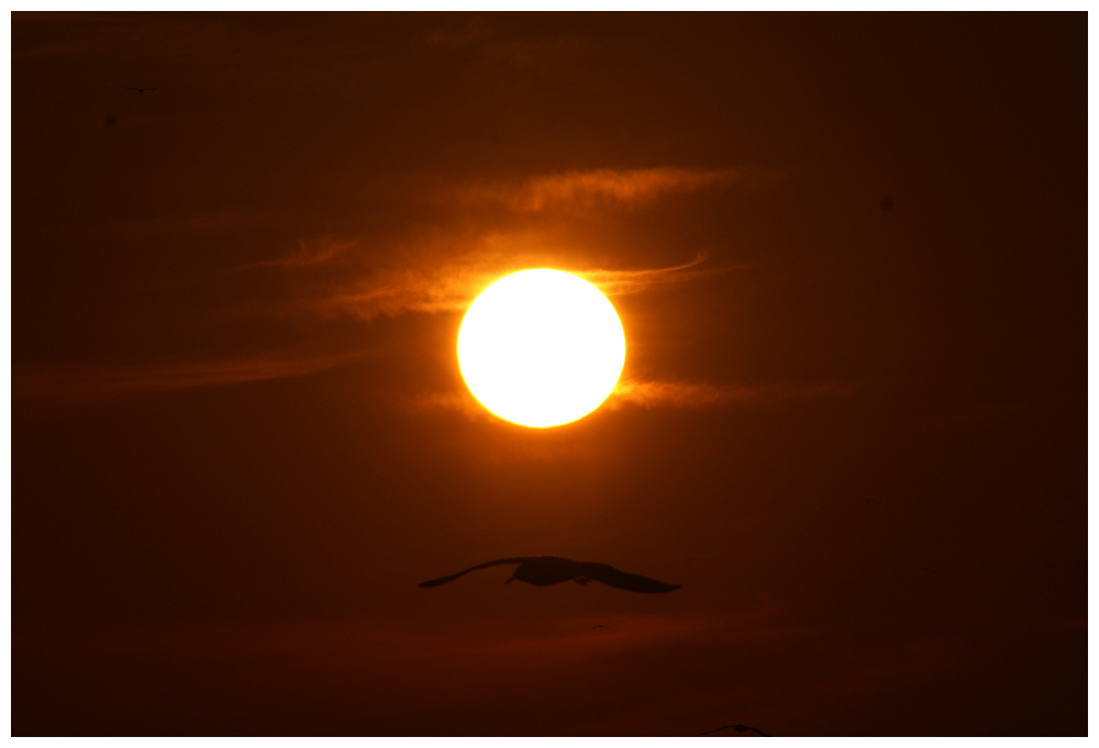 Sonnenuntergang in Bostanci-Istanbul-Marmara Meer 1