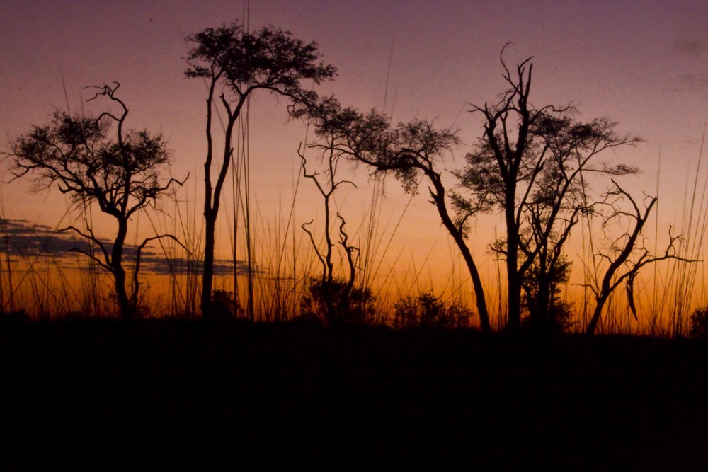 Sonnenuntergang in Botswana