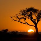 Sonnenuntergang in Botswana