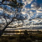 Sonnenuntergang in Botswana