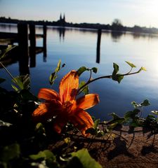 Sonnenuntergang in Brandenburg