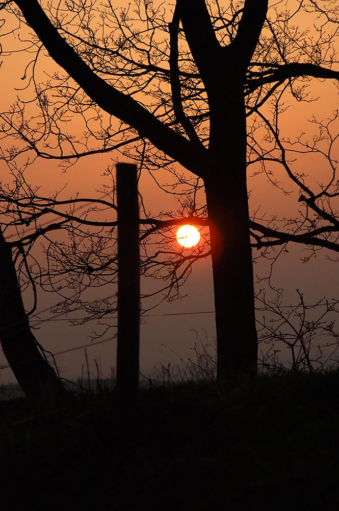 Sonnenuntergang in Bretten