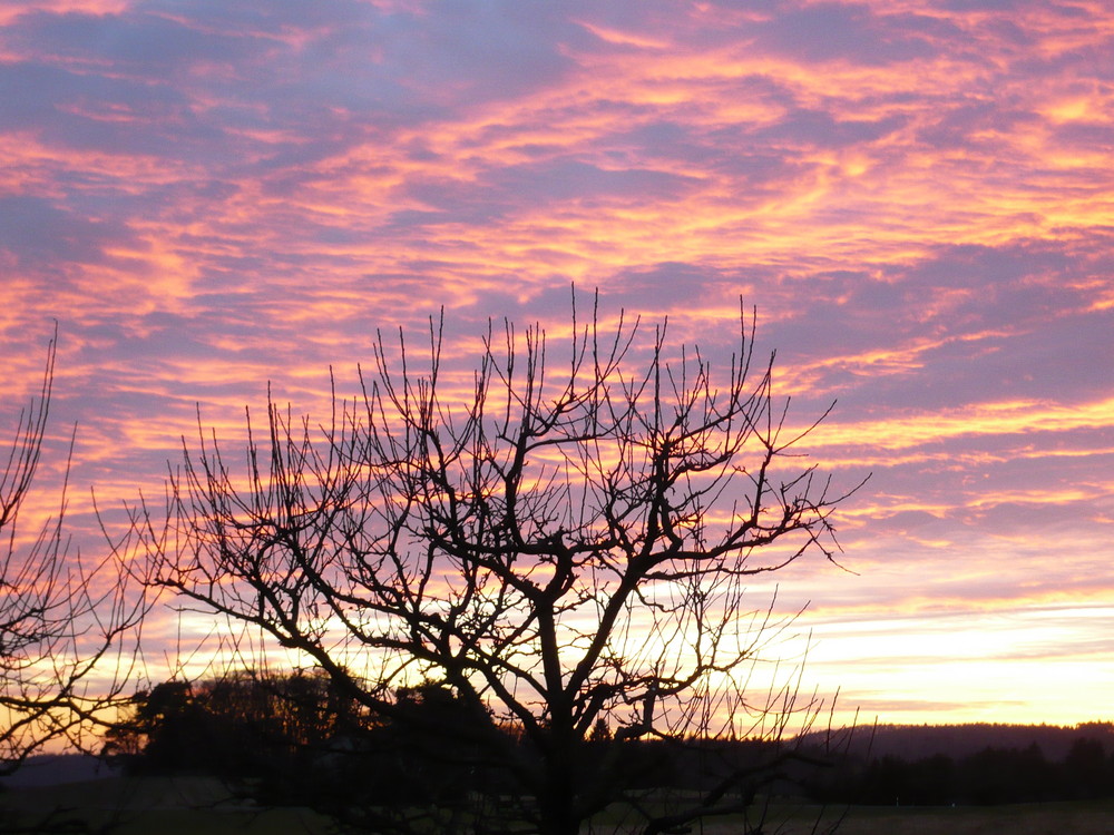 Sonnenuntergang in Buchenberg