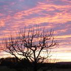 Sonnenuntergang in Buchenberg