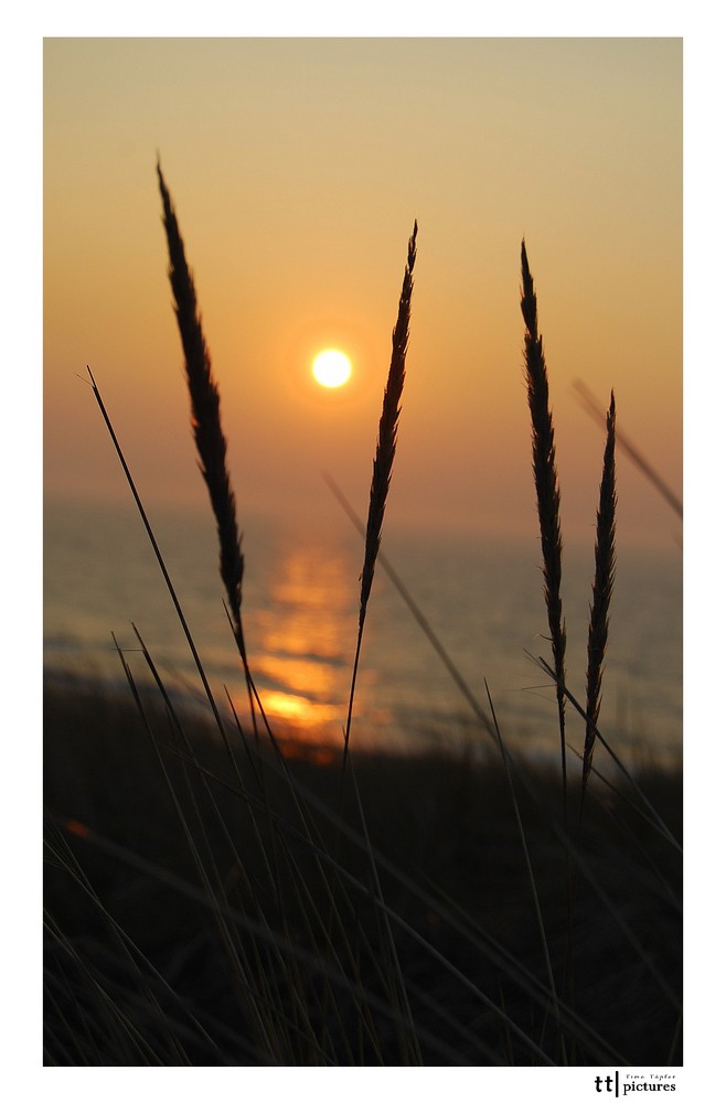 Sonnenuntergang in Cadzand... #1