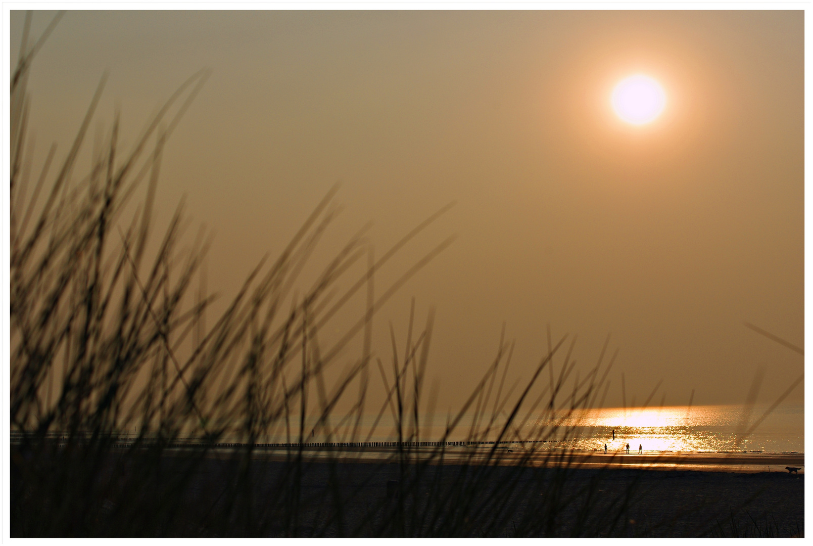 Sonnenuntergang in Cadzand