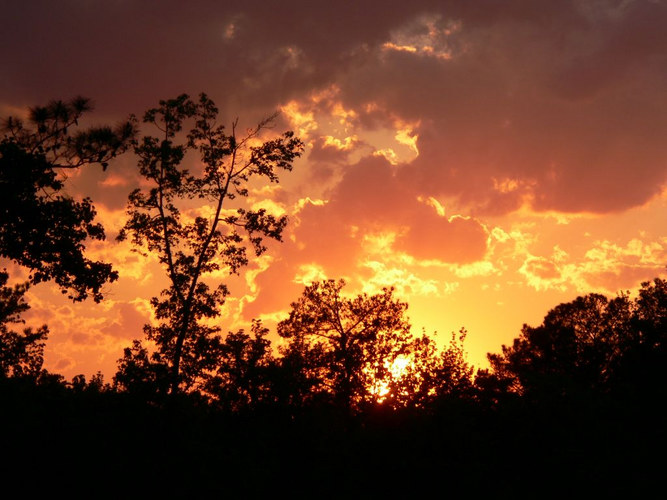 Sonnenuntergang in Cary