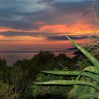 Sonnenuntergang in Castiglione della Pescaia