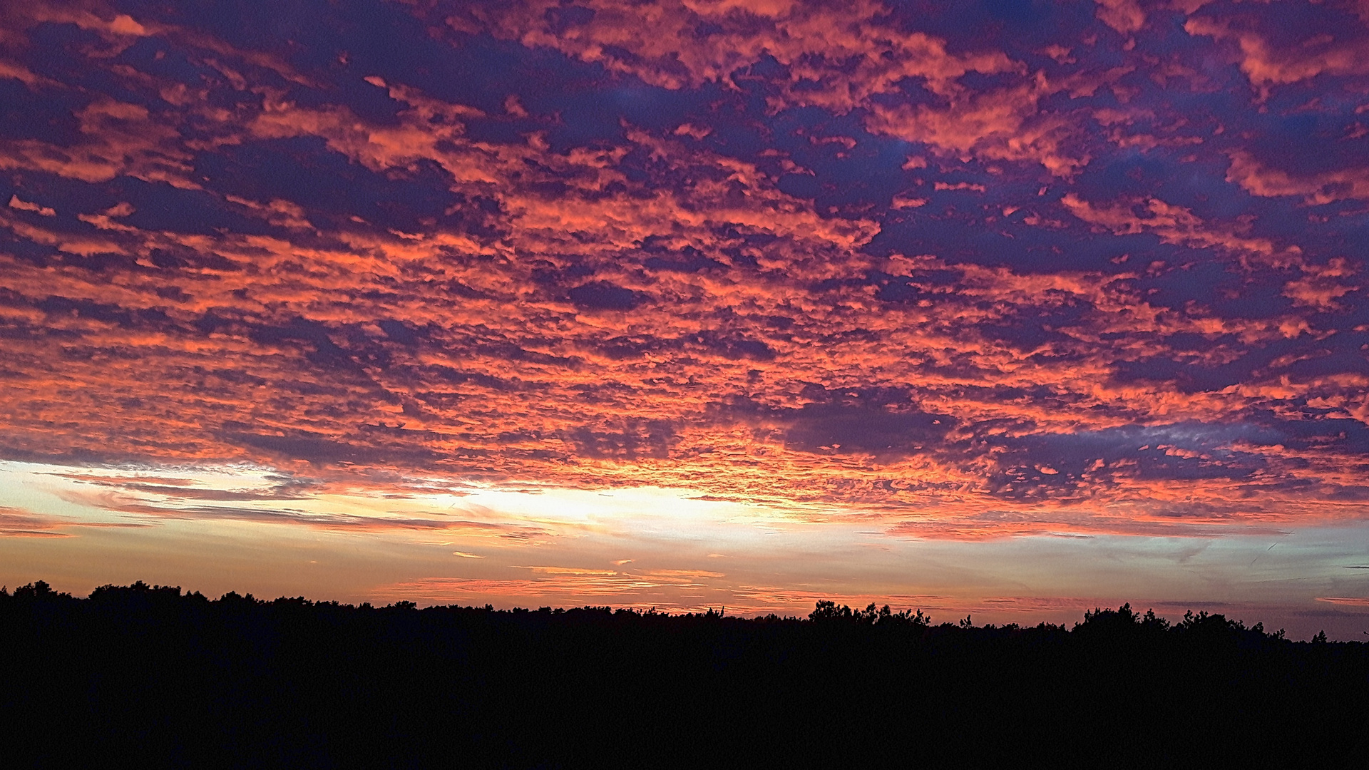 Sonnenuntergang in Celle