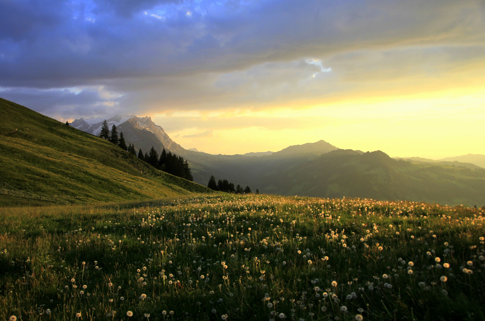 Sonnenuntergang in Chli Heiern, Alpstein / Appenzell