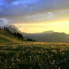 Sonnenuntergang in Chli Heiern, Alpstein / Appenzell